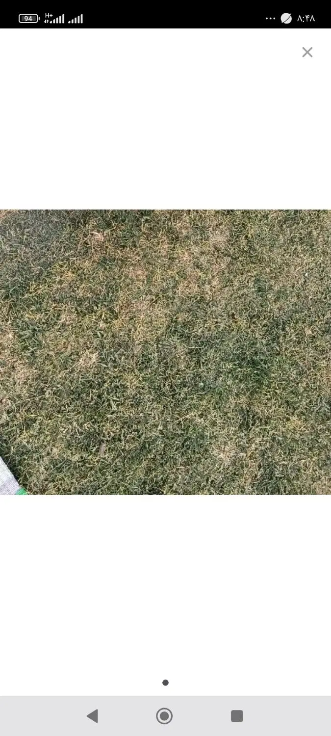 زمین در کوی رابری