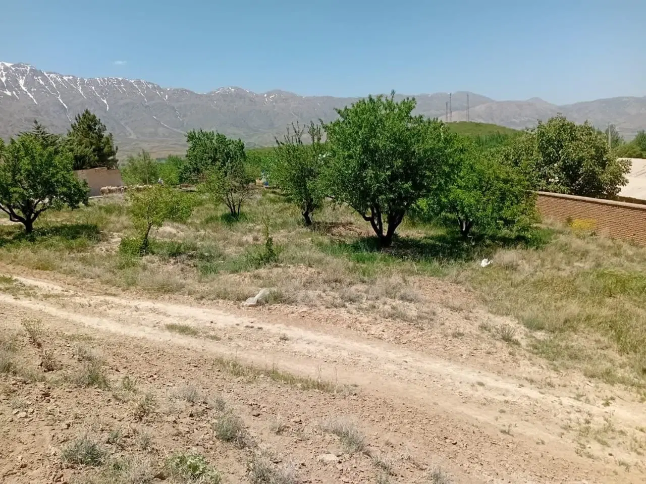 فروش زمین مسکونی