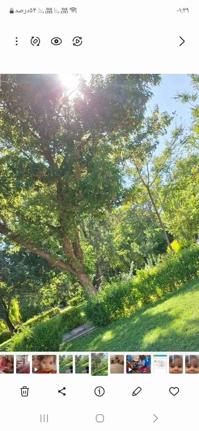 زمین مسکونی