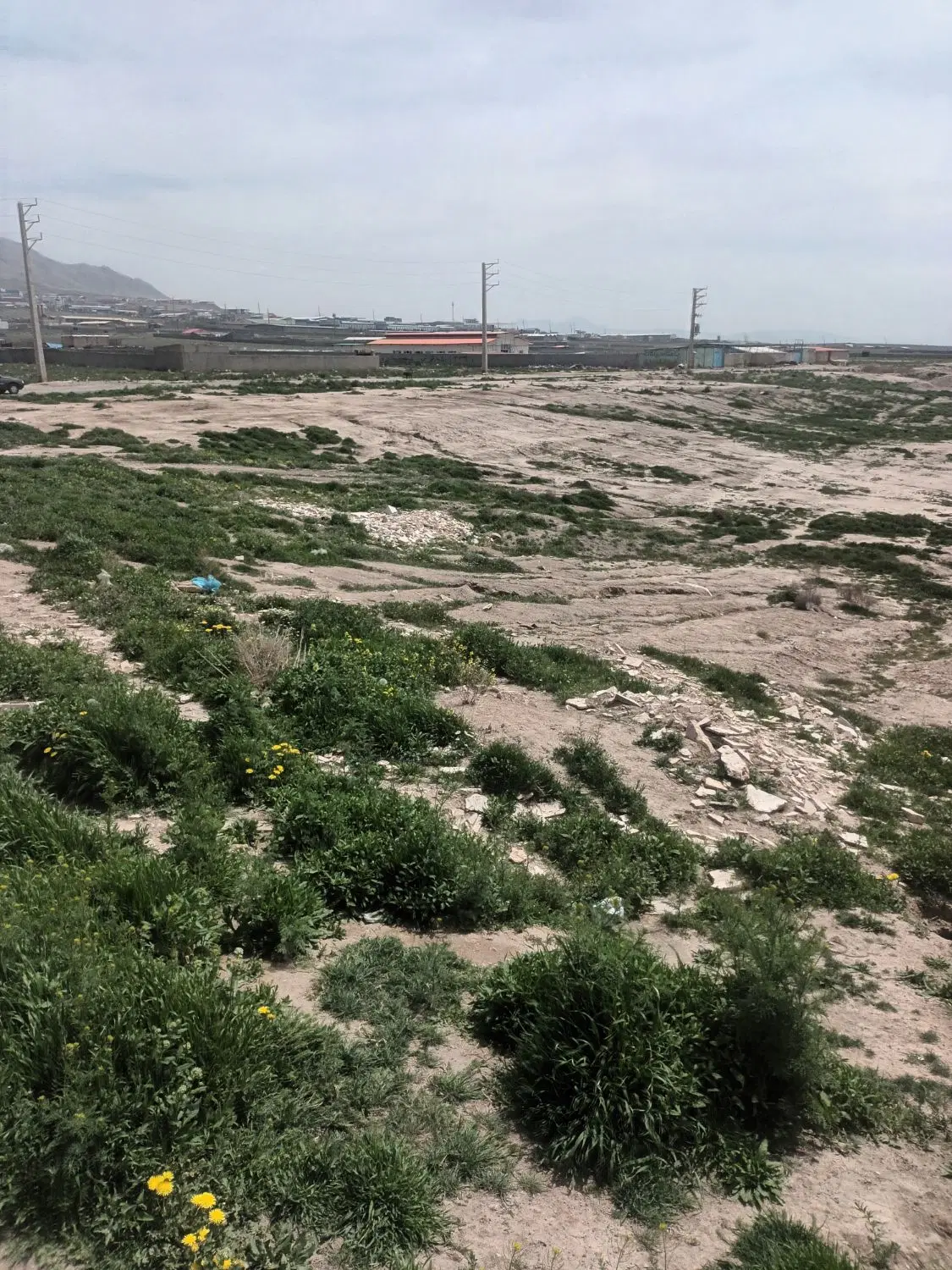 زمین کشاورزی