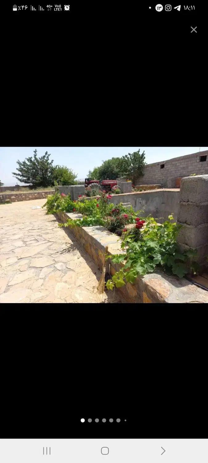 گاوداری صنعتی ۱۰۰راسی.وگلخانه ۳۰۰۰متر.منطقه فریمان