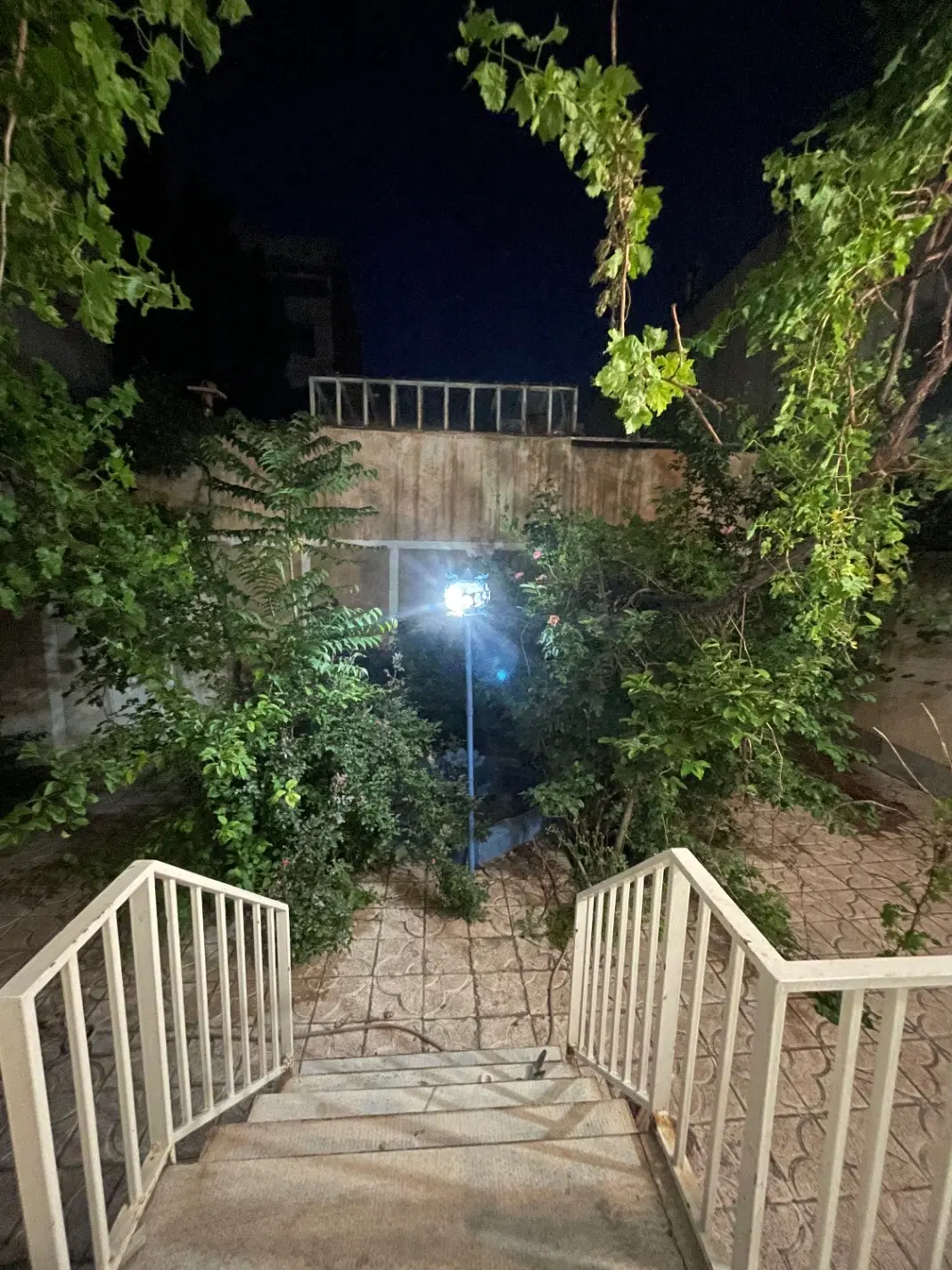 اجاره حیاط
