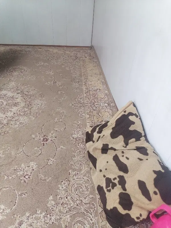 همخونه خانم