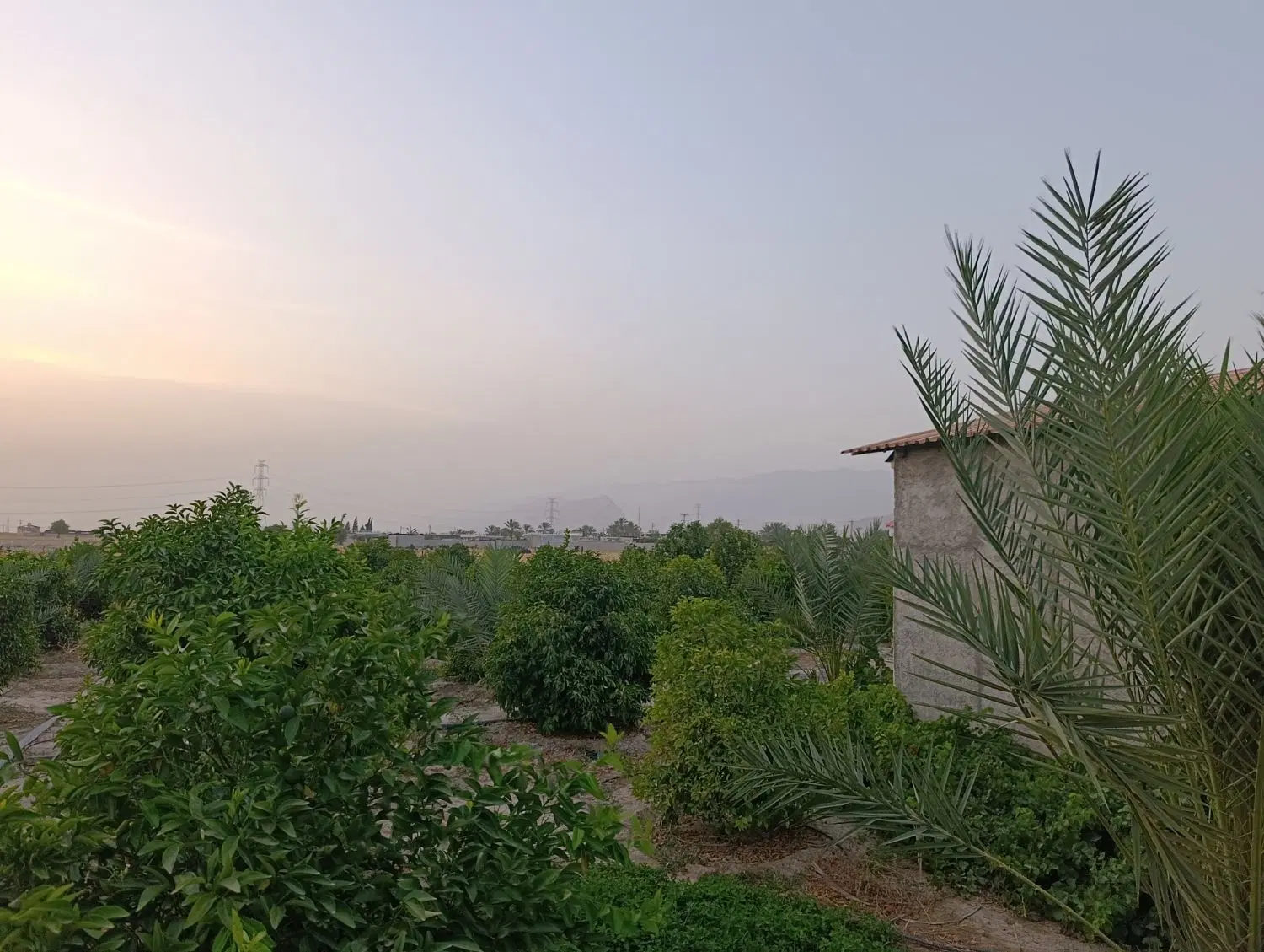 باغچه نصیر آباد