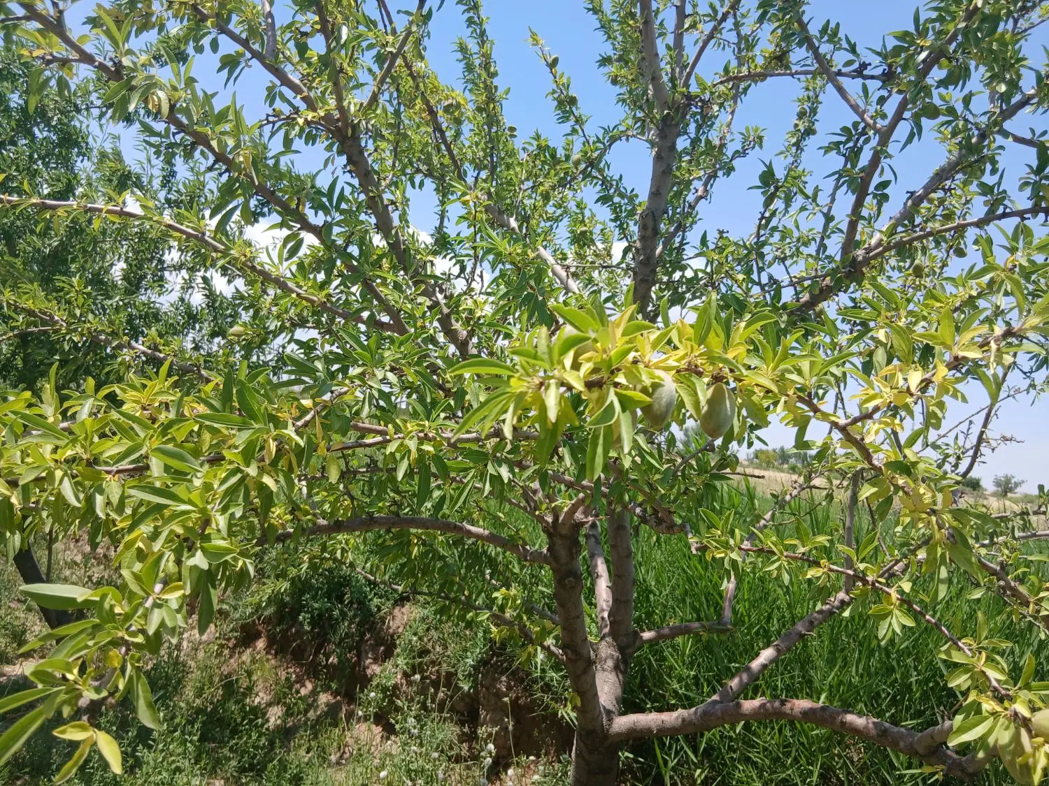 فروش زمین