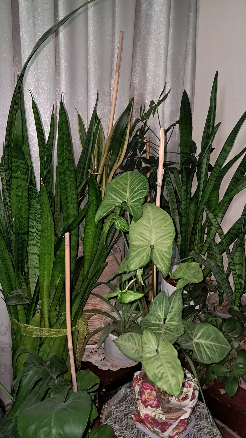 اجاره فقط برای مومنین