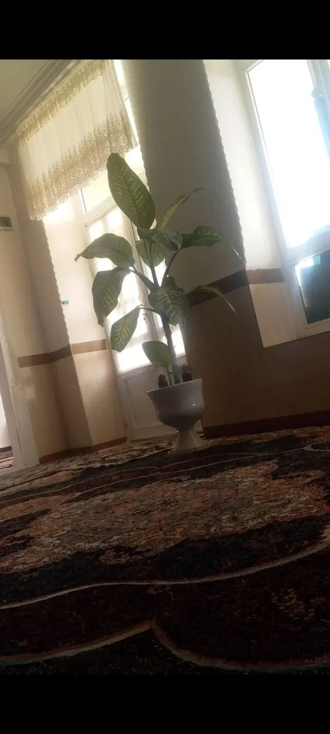 خانه اجاره ای