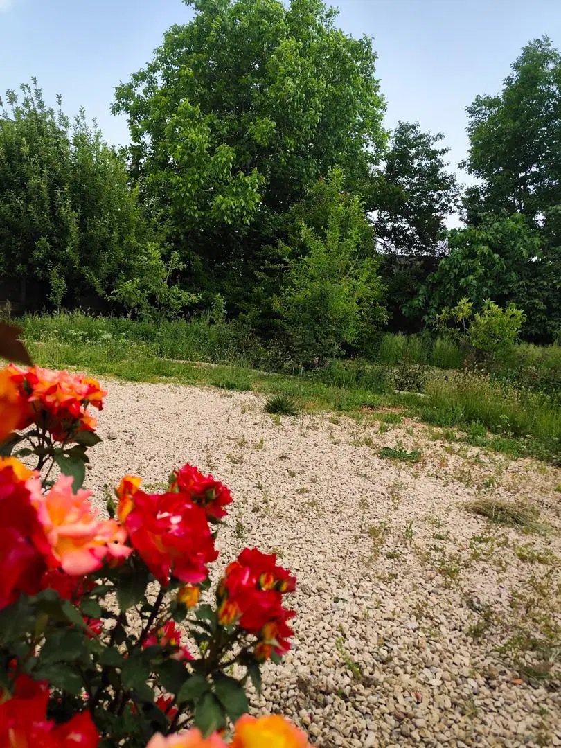اجاره شبانه خانه ویلایی