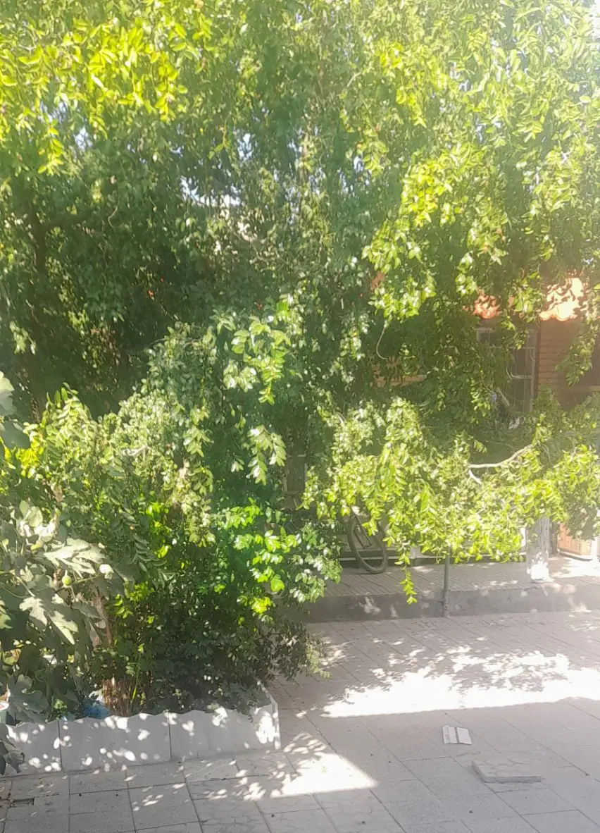 خانه ویلایی دو سر ساز