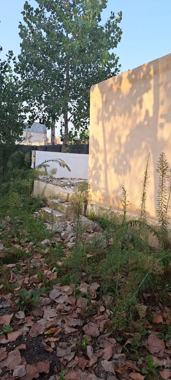 زمین ولوکس