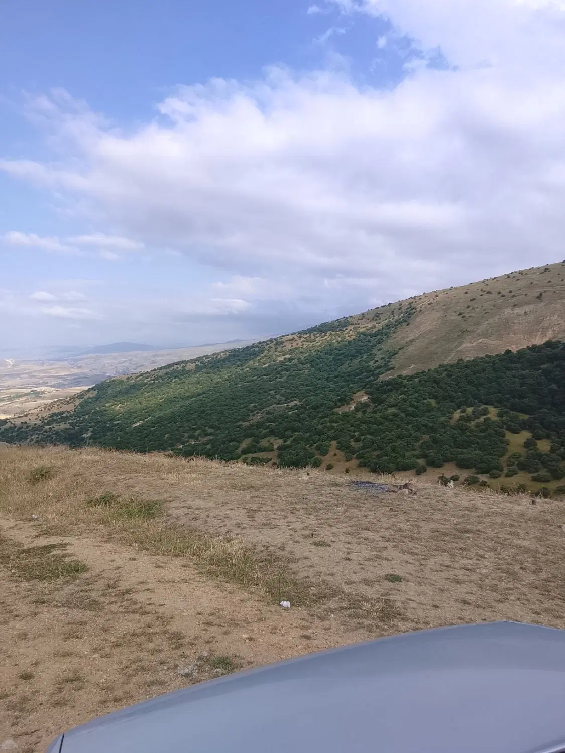 اجاره زمین دیم کشاورزی میخوام