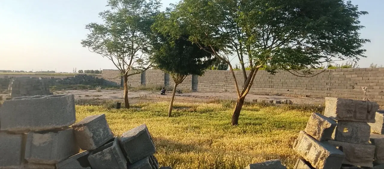 زمین مناسب باغ