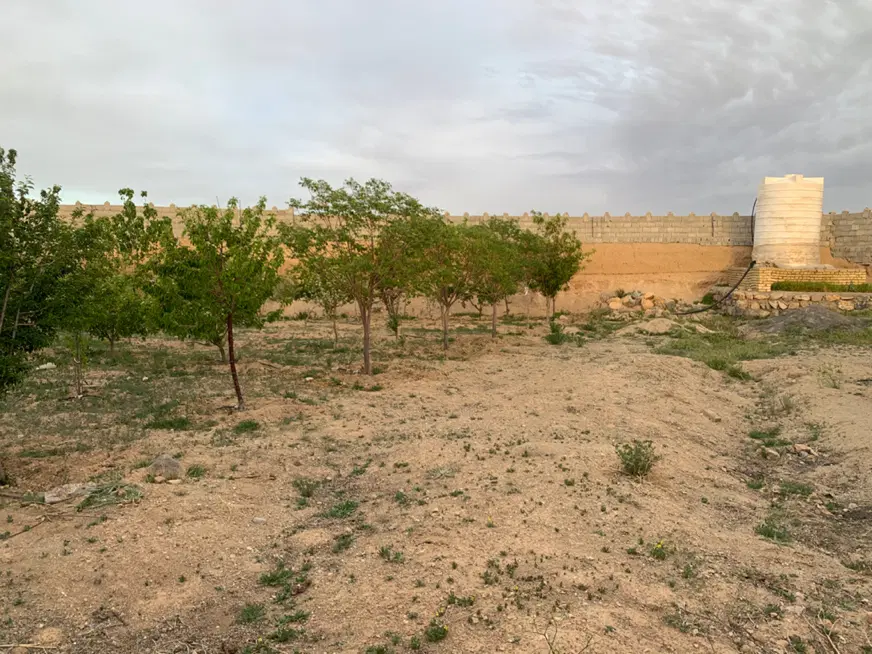 زمین باغی