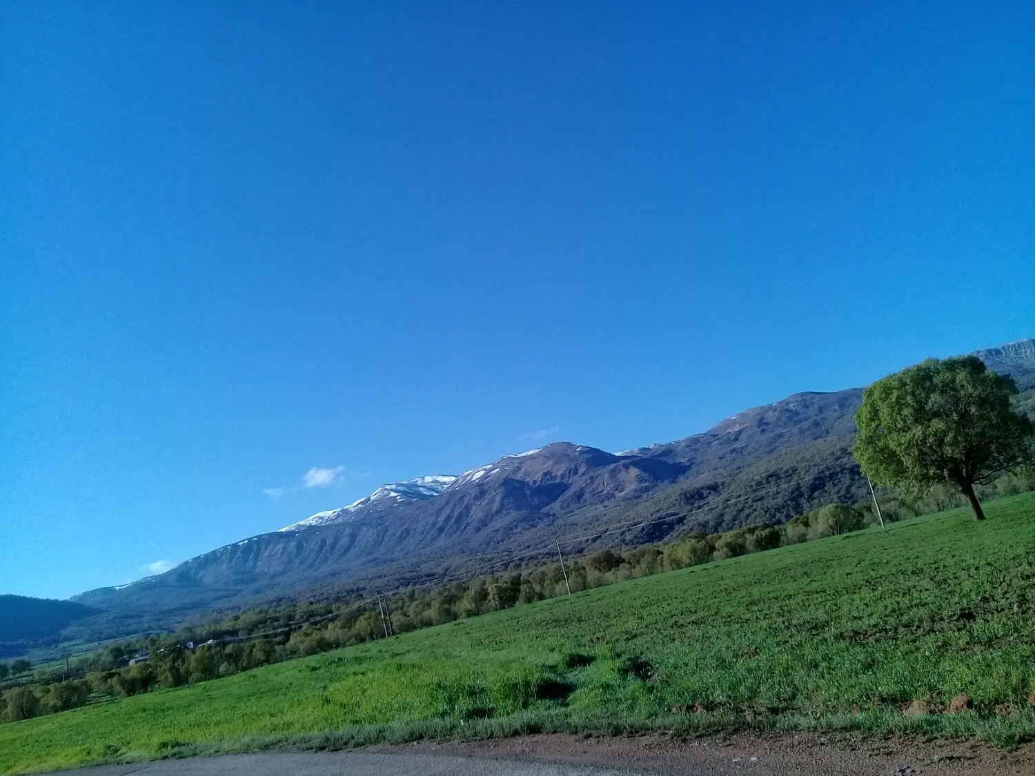 زمین روستای چنارکل