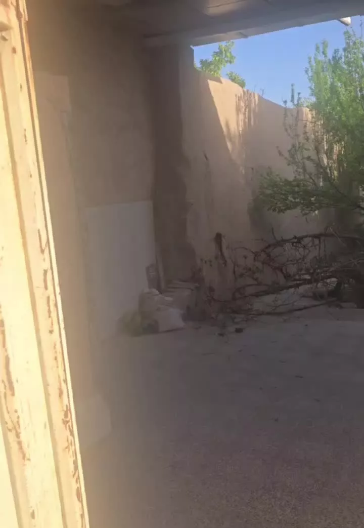 باغ سالیانه