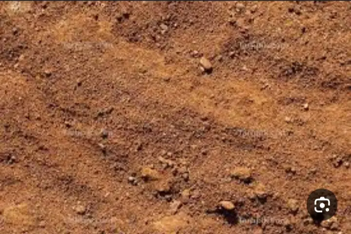 زمین مسکن مهر ازادگان