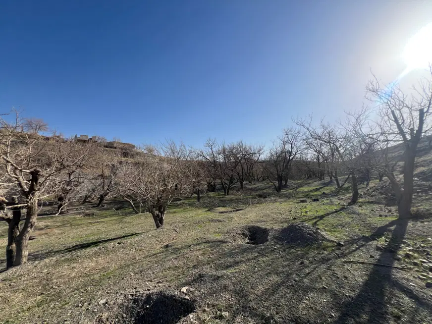 باغ ۱۱۰۰ متری خادر- مناسب سرمایه گذاری