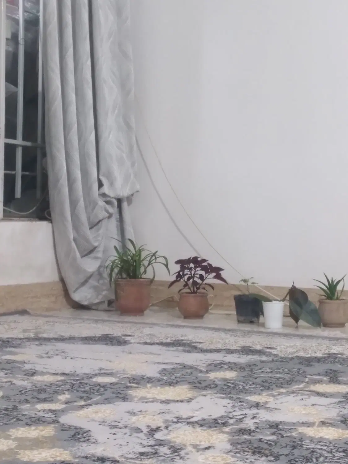 خانه اجاره ای ودیعه ۱۰۰  ماهانه ۲۵۰۰