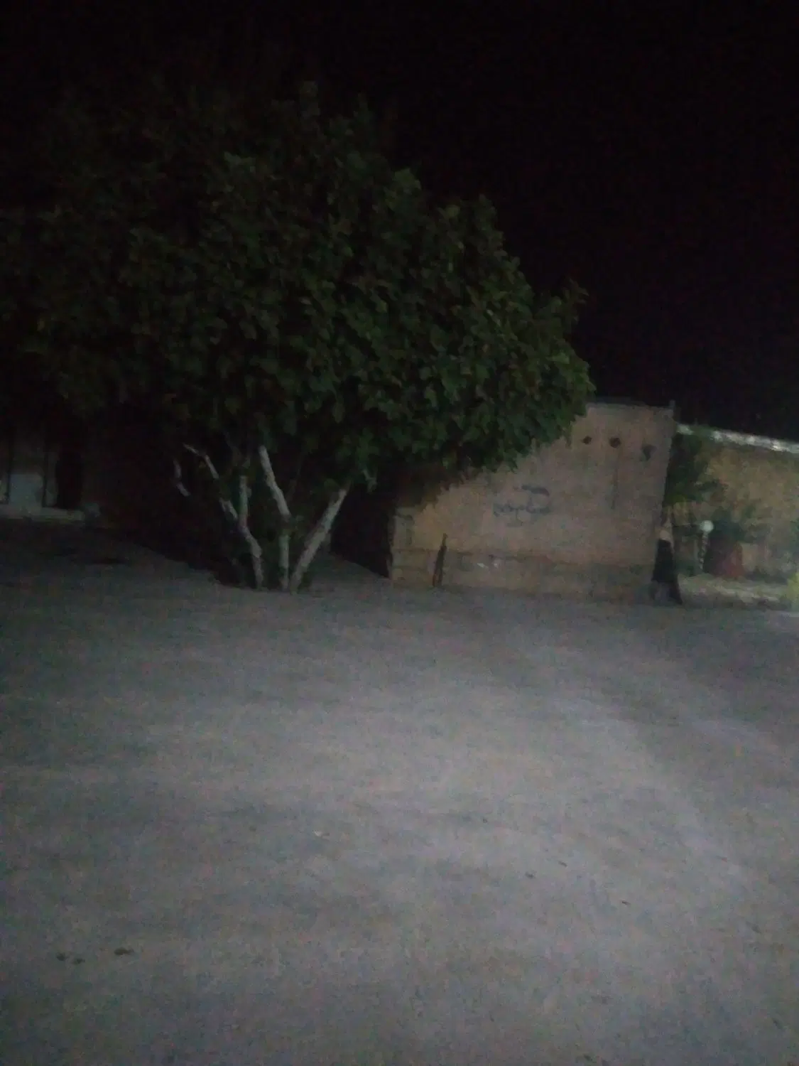 فروش زمین مشاع، صدرا فاز 3