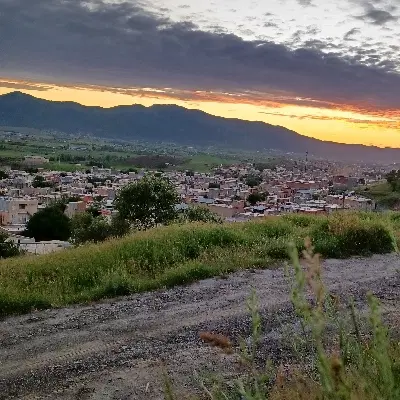 زمینمان گرک