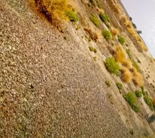 زمین ۳۰۰ متری