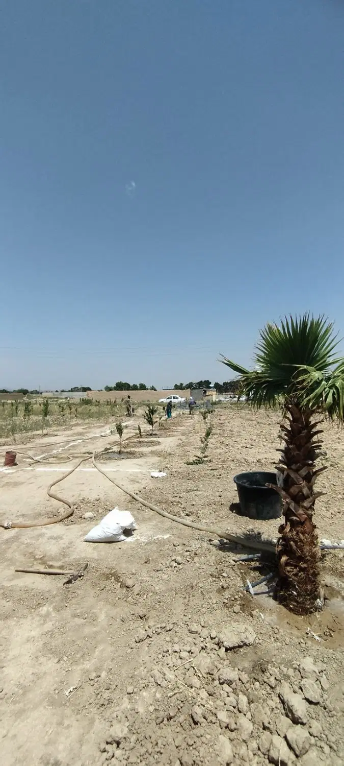 فروش باغچه