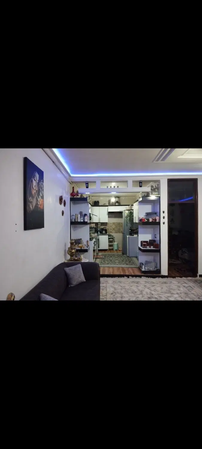 خانه تمیز ده محسن لاله 2