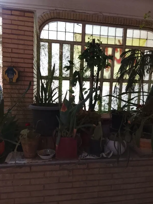 خانه اجاره ای کرایه ۲۵۰۰
