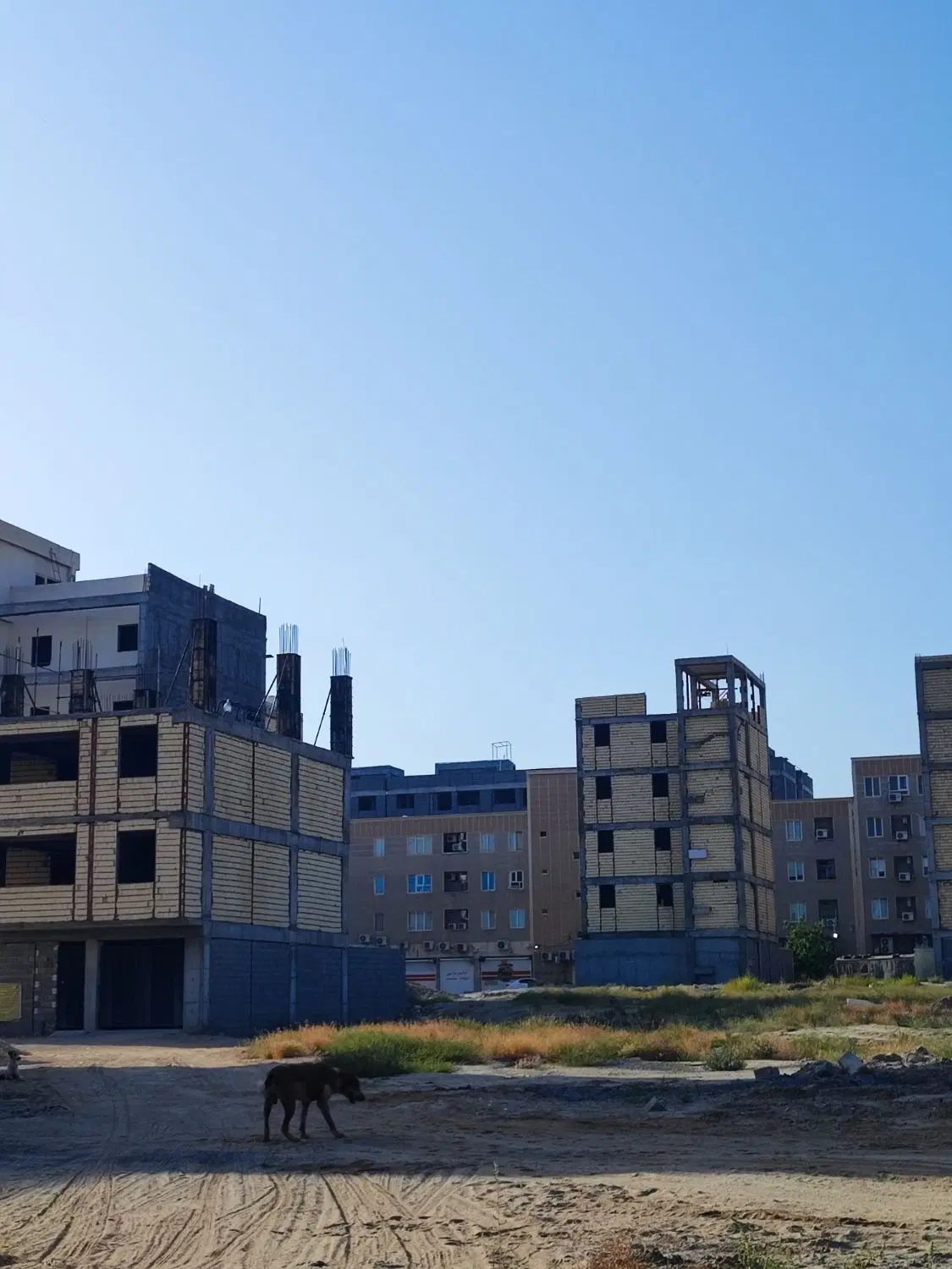 مشارکت در ساخت