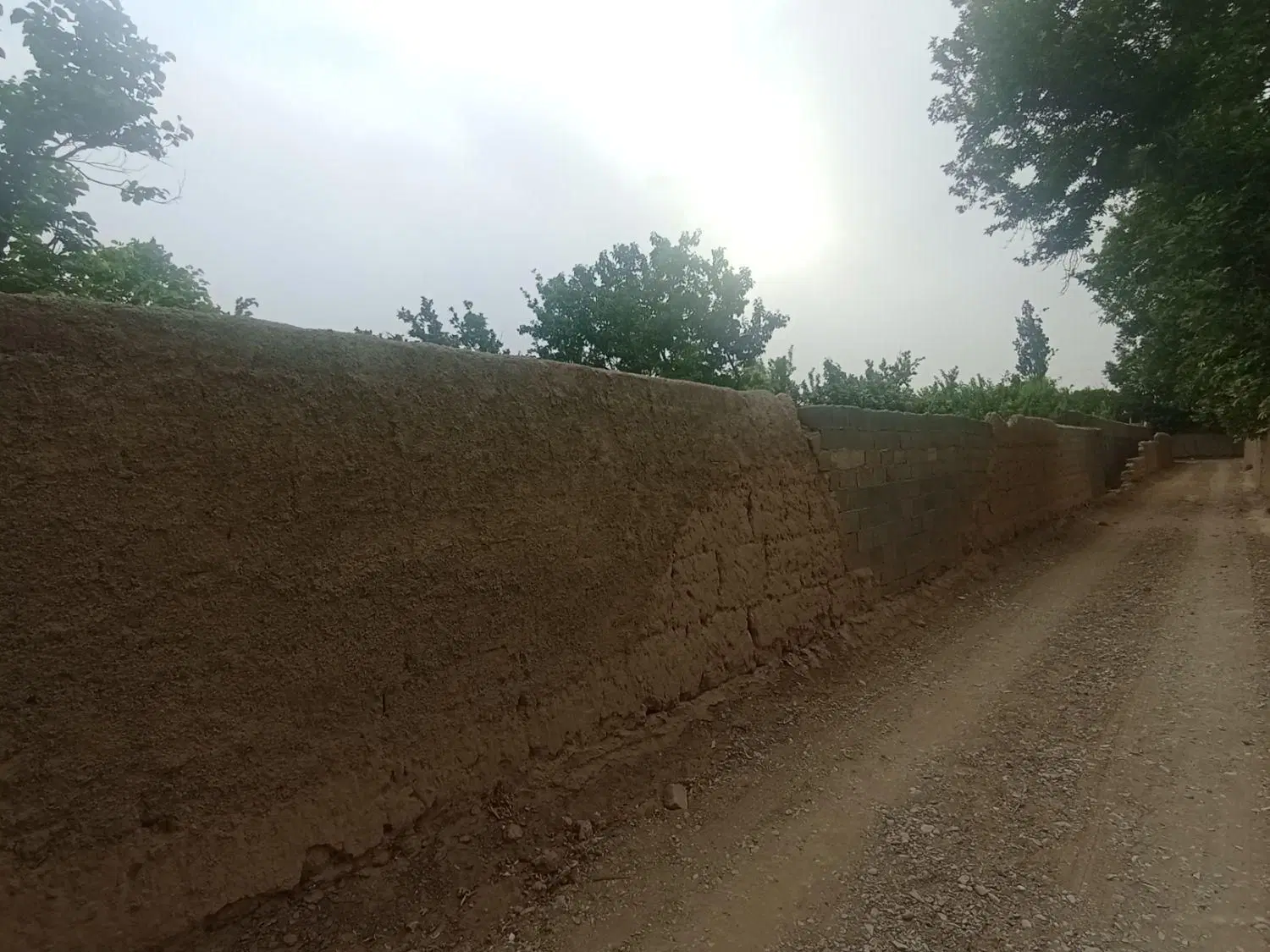 باغ میوه تهاتر