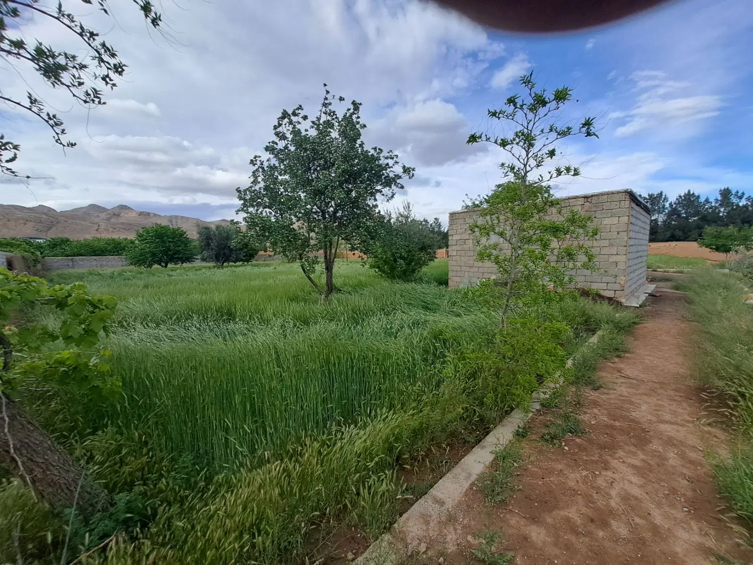زمین باغی و کشاورزی