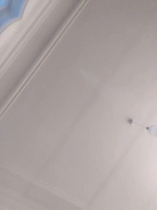 همخونه