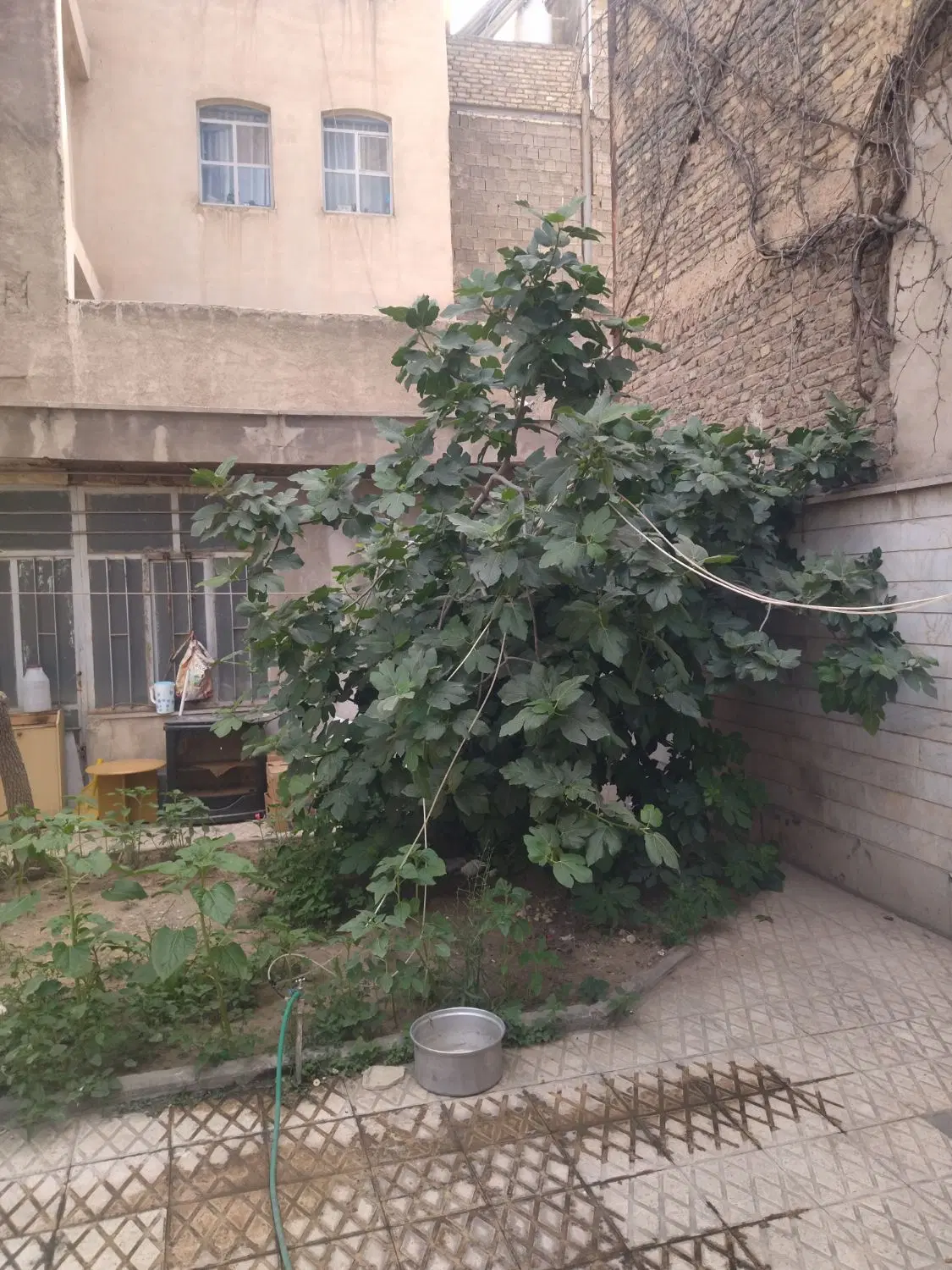 خانه ویلایی