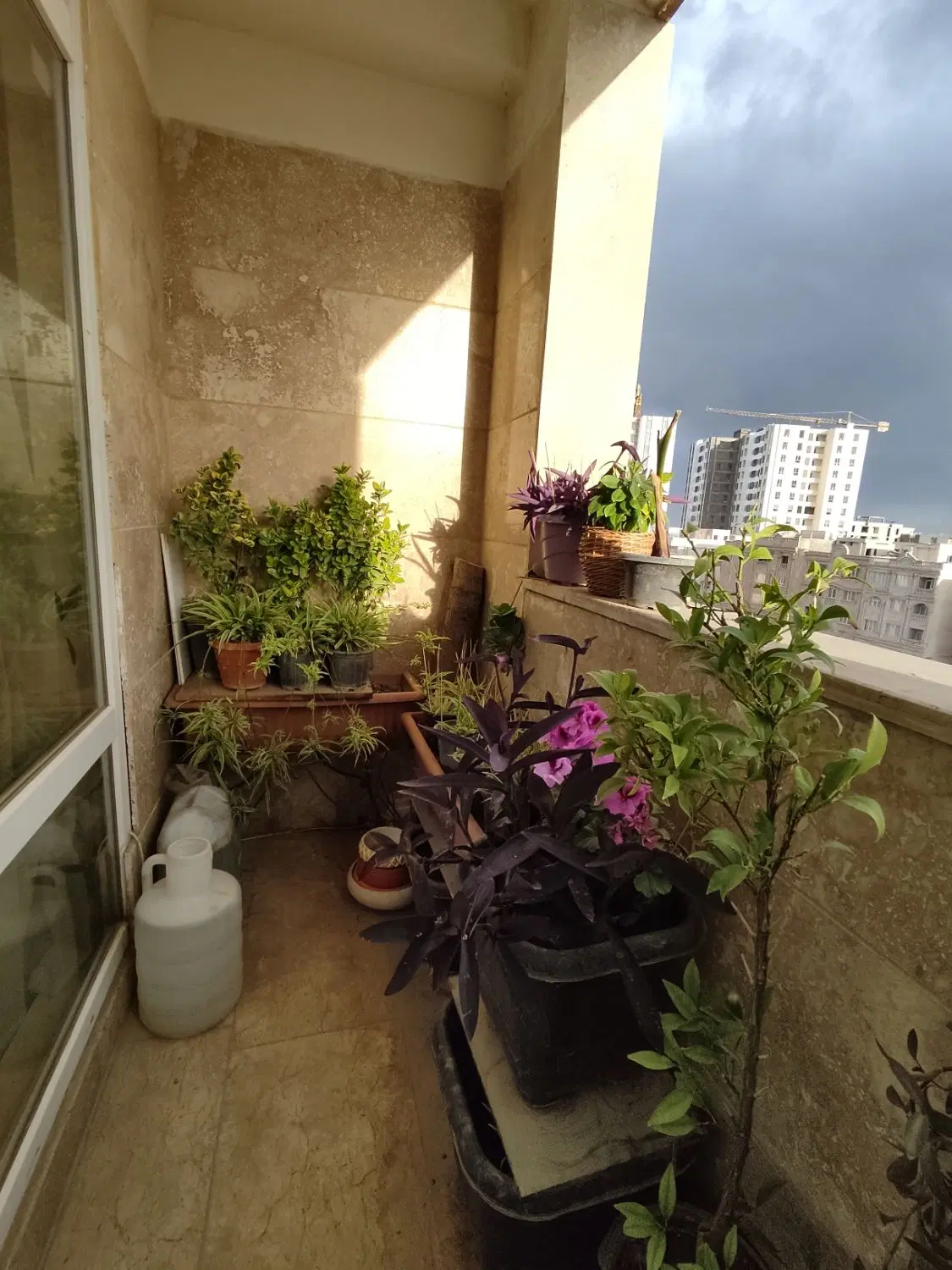 اجاره آپارتمان۱۵۰متری_۳خواب(ویو ابدی)