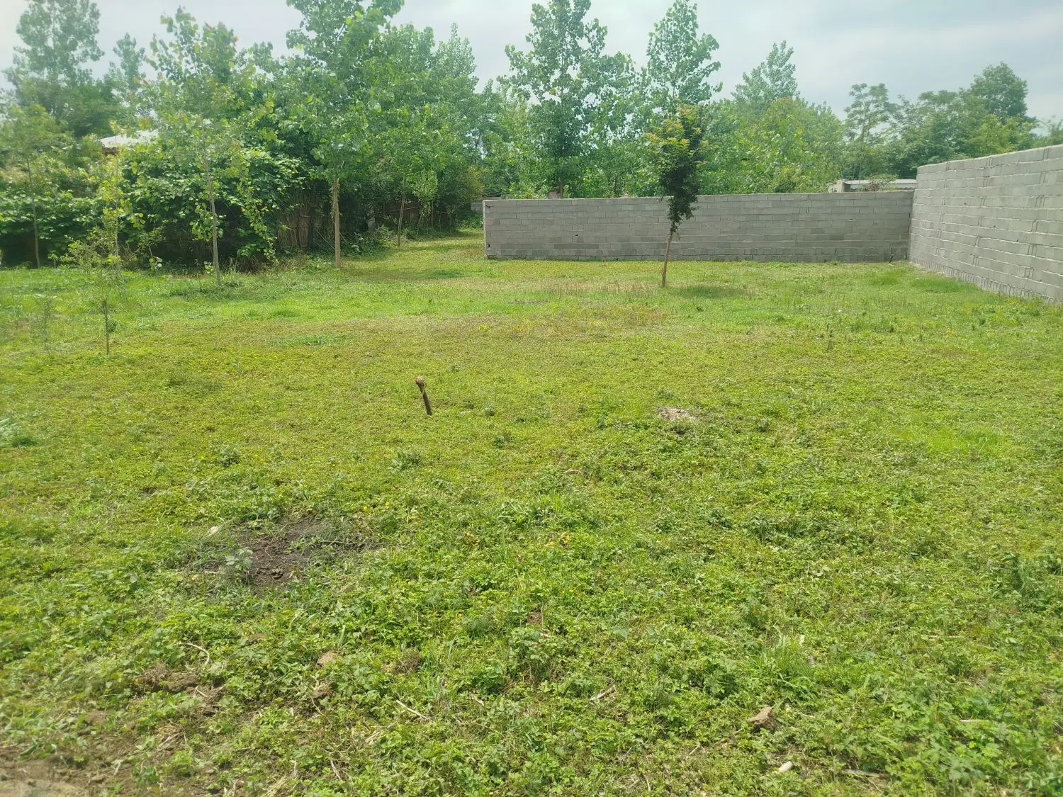 زمین با نامه مسکونی