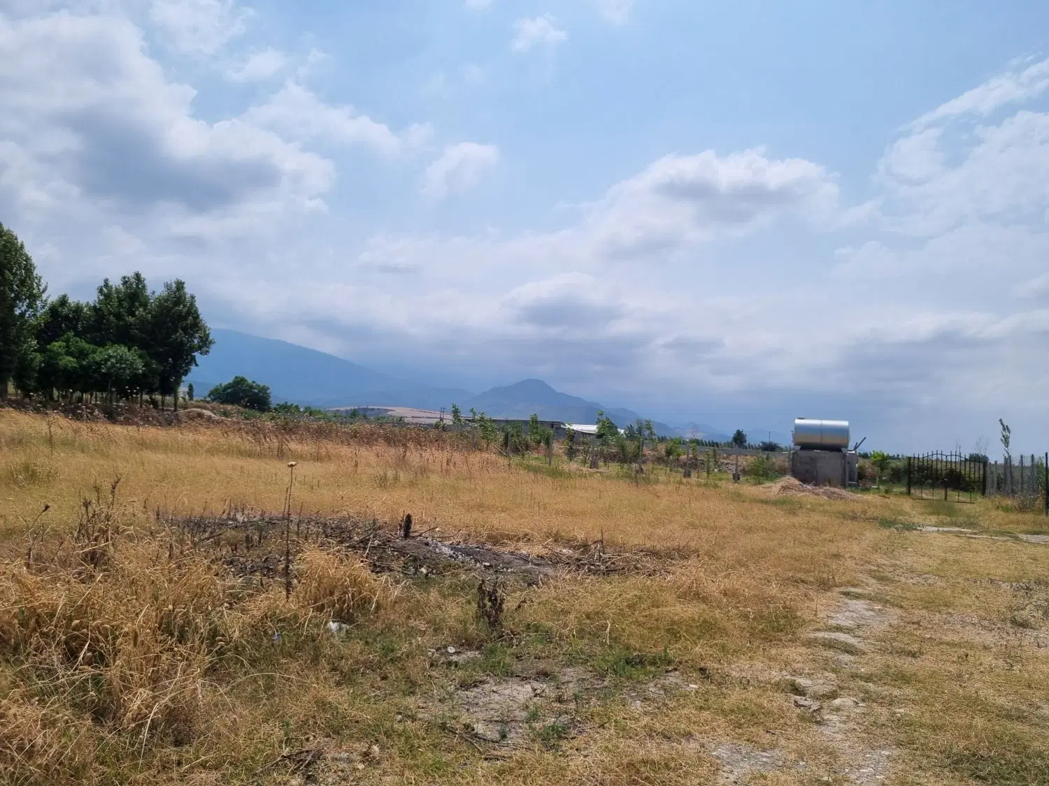 زمین باغی