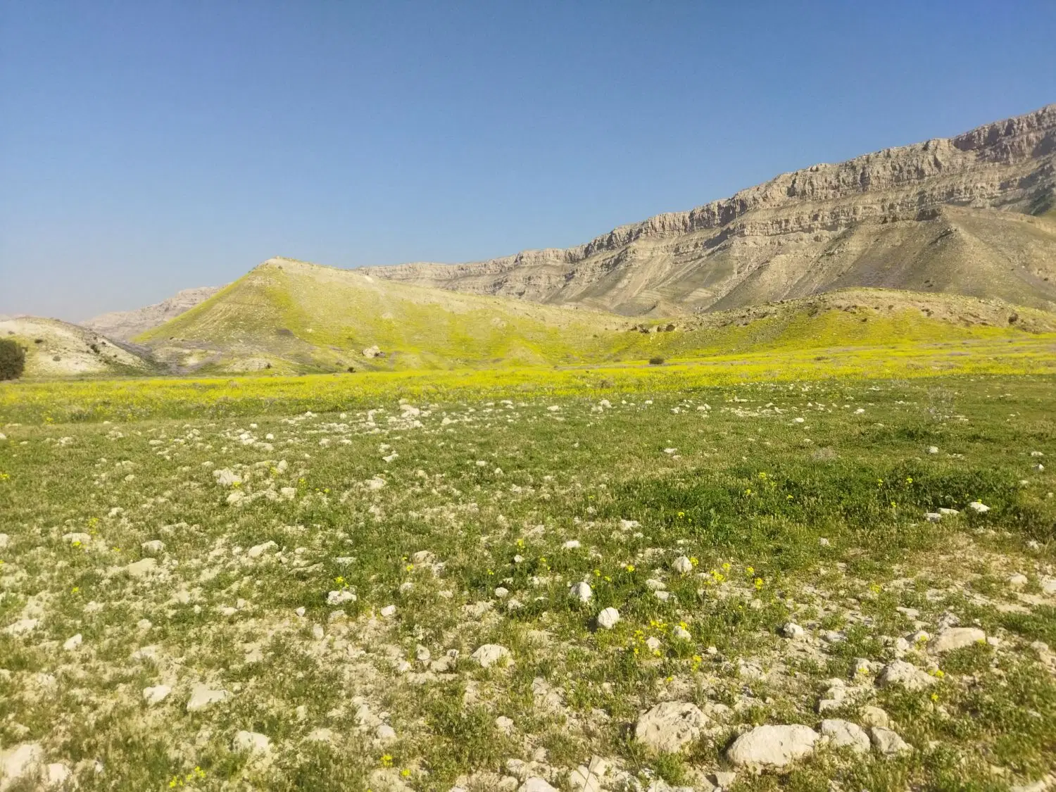 فروش زمین