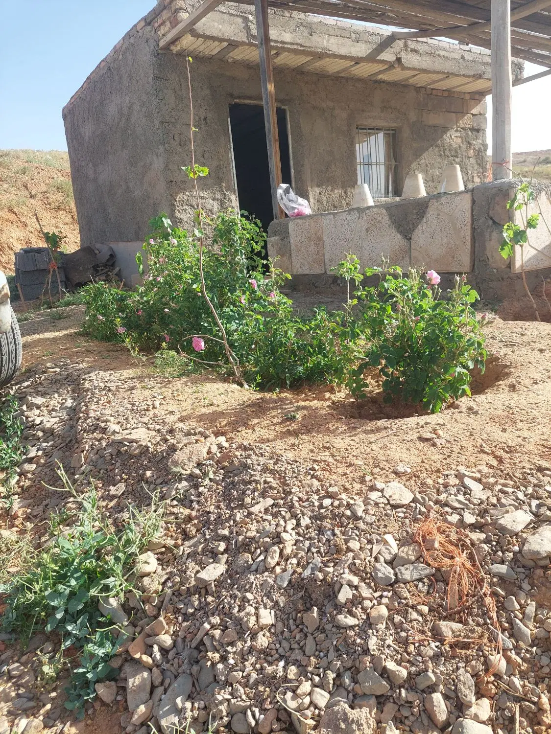 فروش زمین