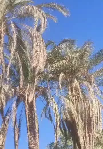 خانه باغ نزدیک مرکز شهر