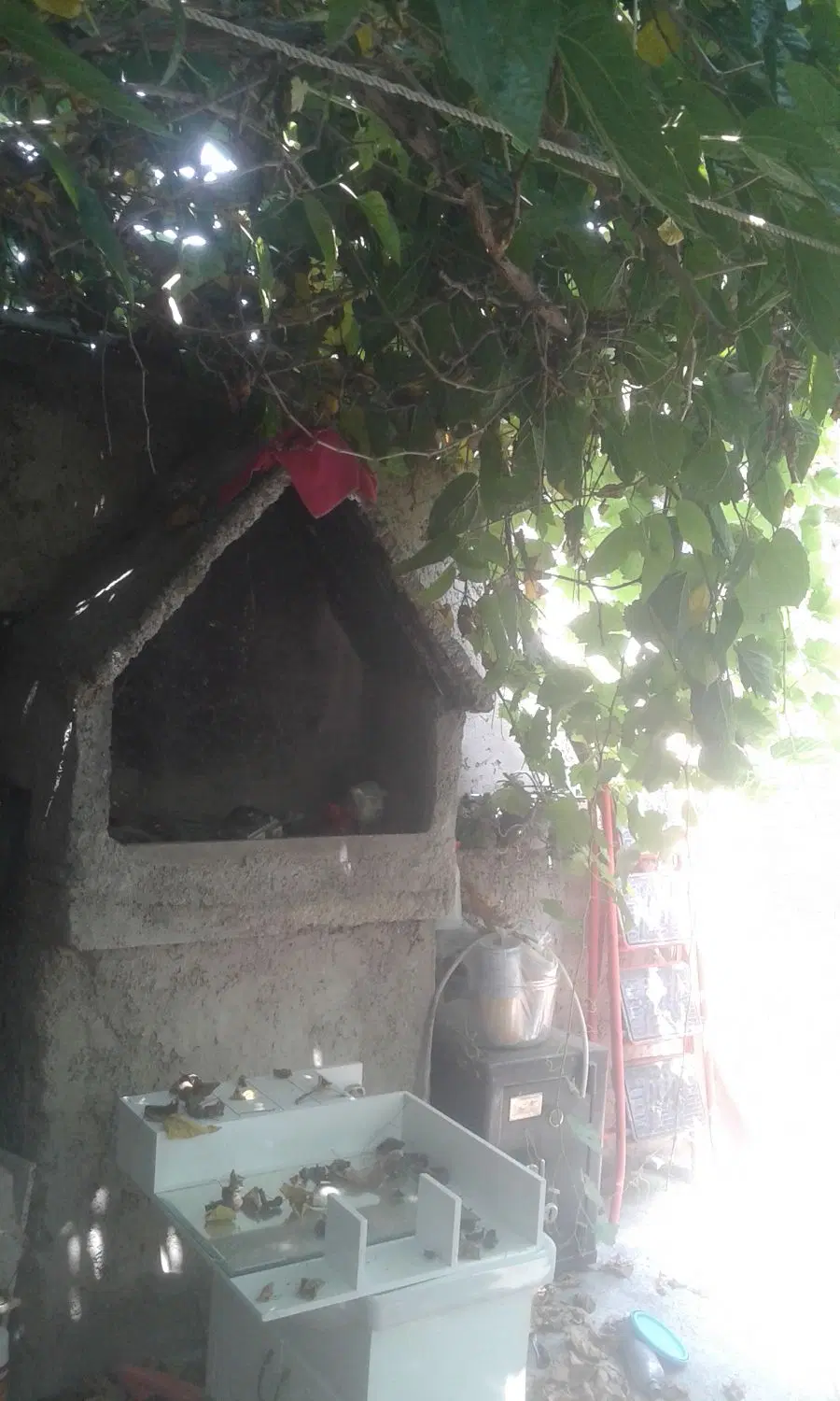 خانه 18متری دربست بدون اتاق خواب داخل شهر