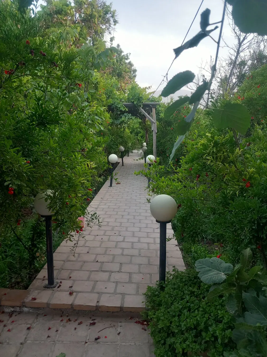 اجاره گاراژ