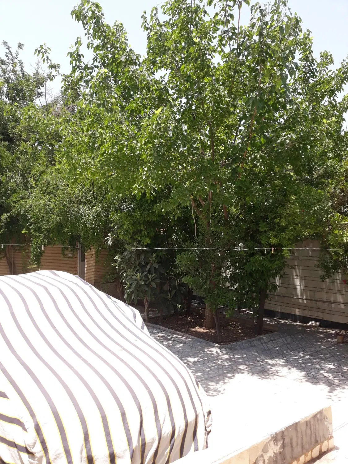 ویلای۲۷۰متری برخیابان اصلی مناسب سکونت اداری تجاری