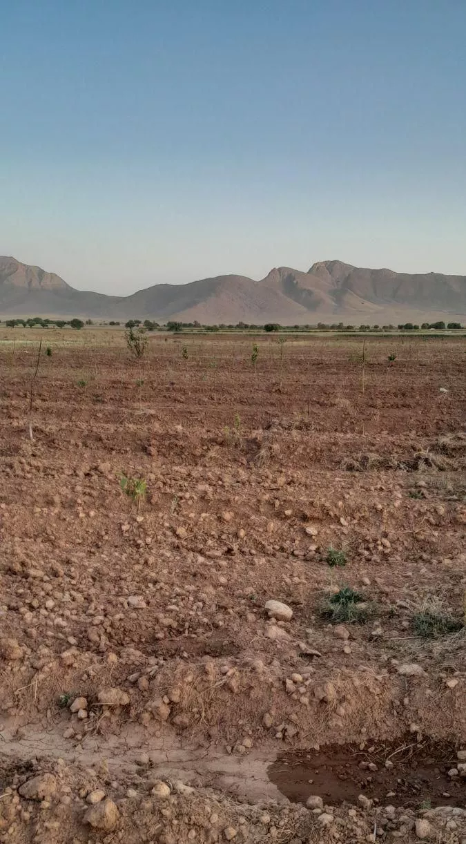 زمین کشاورزی۱۰۰۰ متری سند تک‌برگ