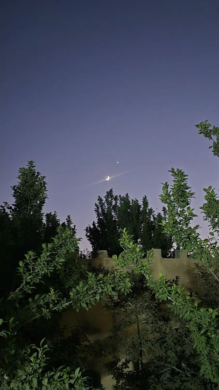 باغ کوشک