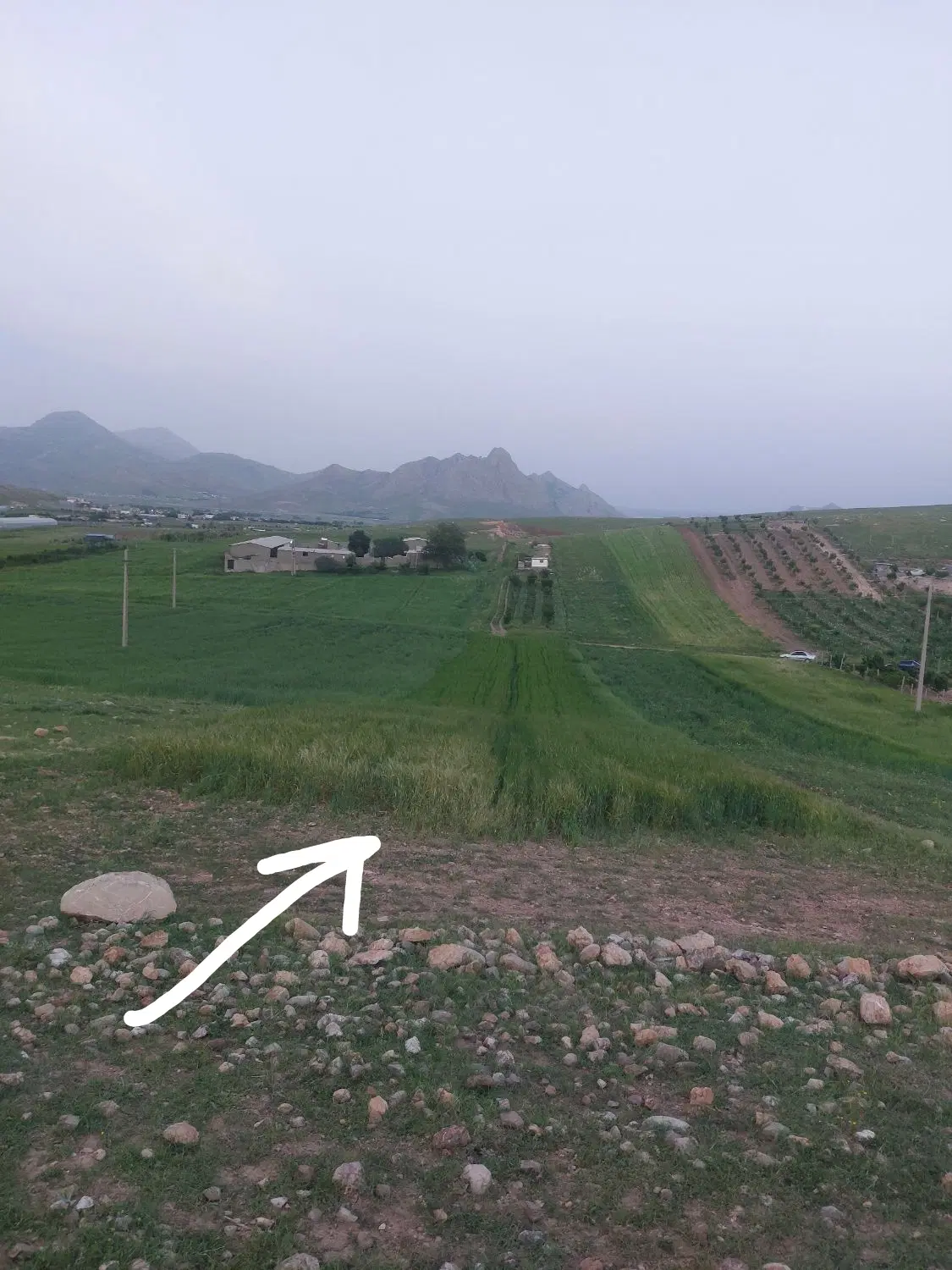 زمین مناسب باغ وکشت ۱۵۶۰مترروستای گاوپناه