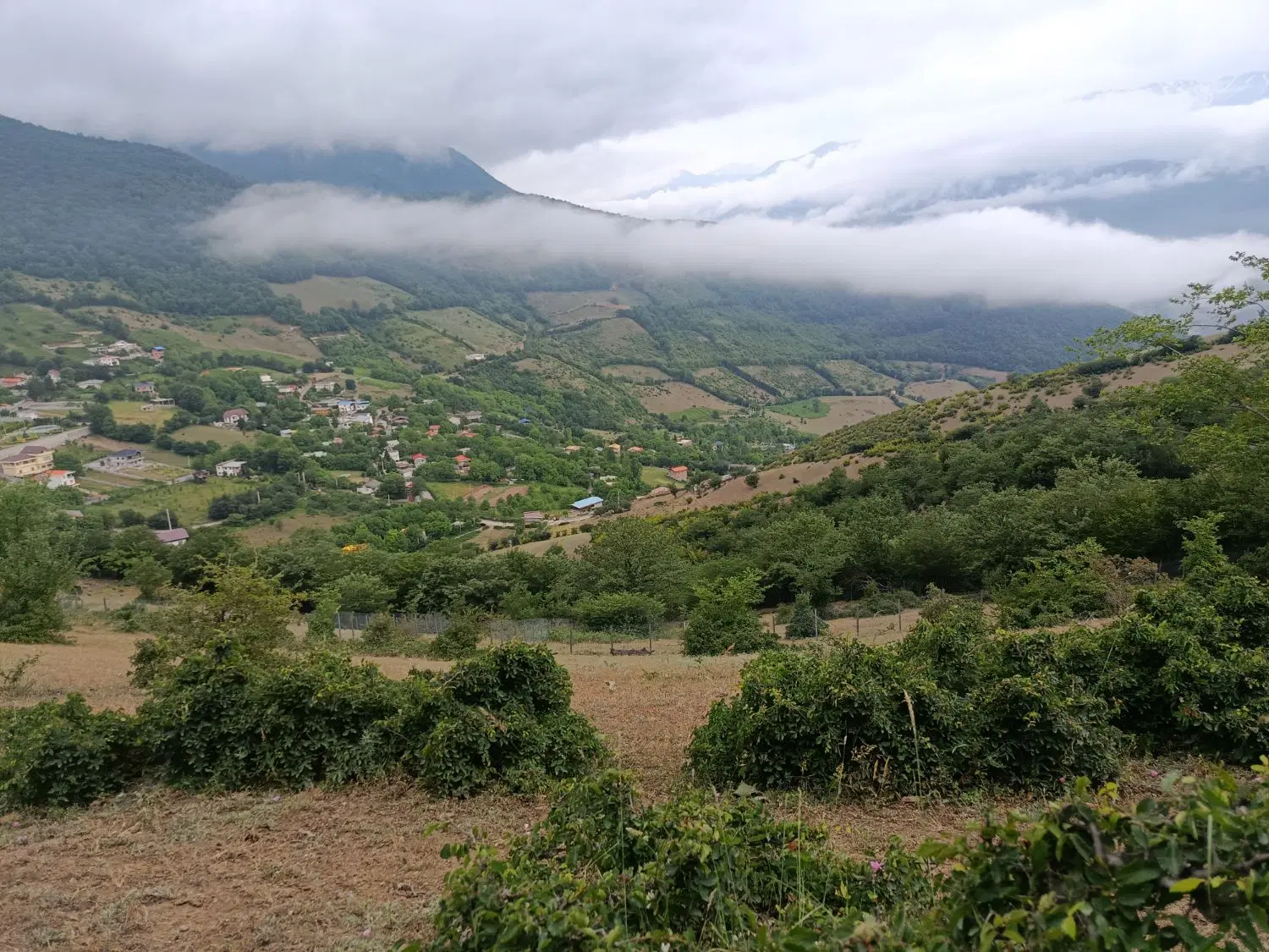 فروش زمین