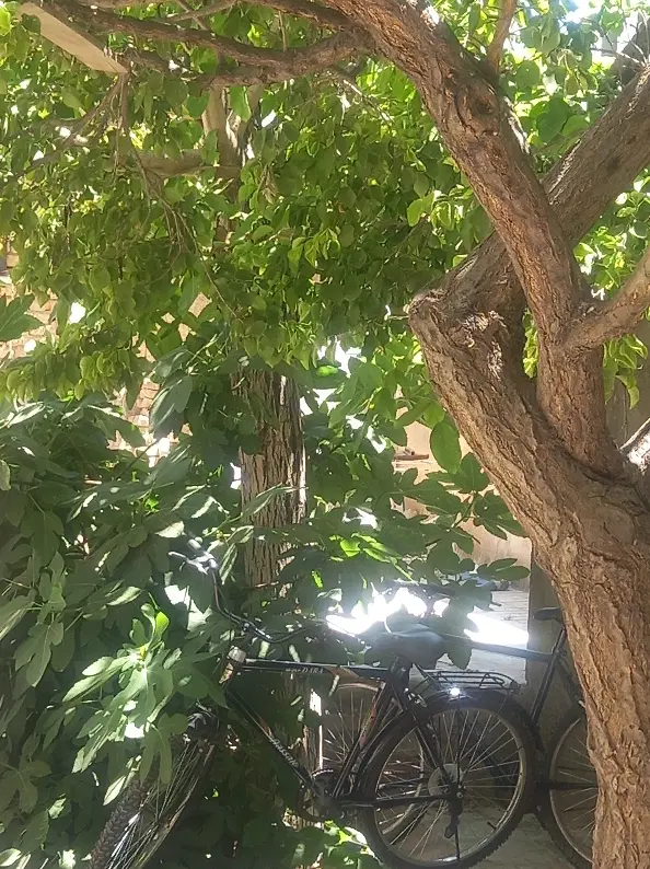 فروش خونه ی ویلایی