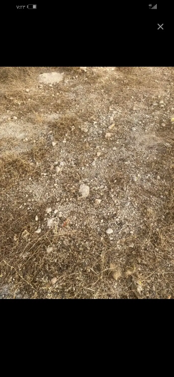 فروش زمین