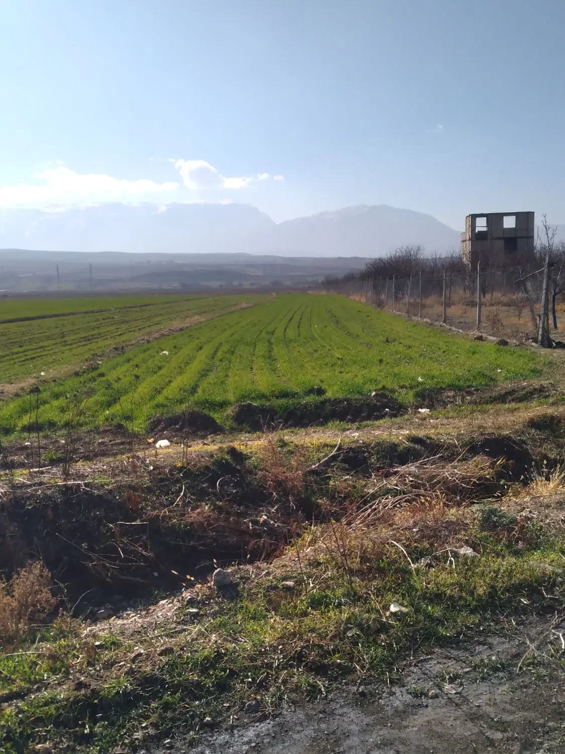 زمین کشاورزی بحر جاده اصلی