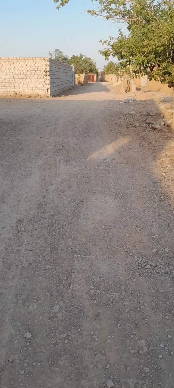 دامداری گله دون